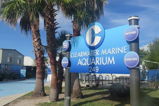 Clearwater Marine Aquarium Center